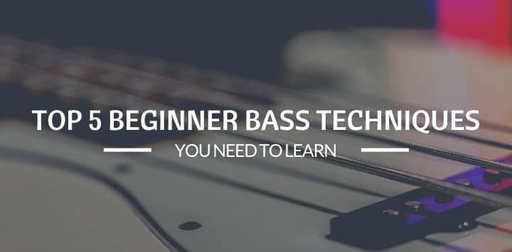 Top 5 Beginner Bass Techniques